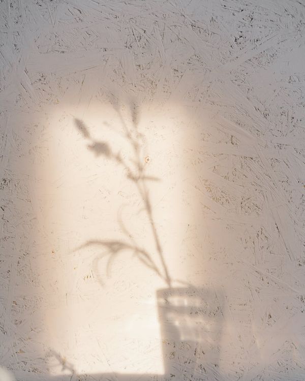 Person meditating peacefully near a large window with soft natural light.